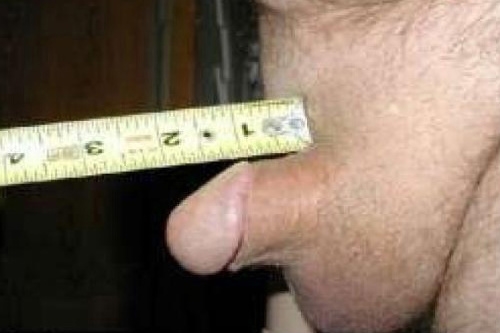 Largest Penis Size Recorded 90
